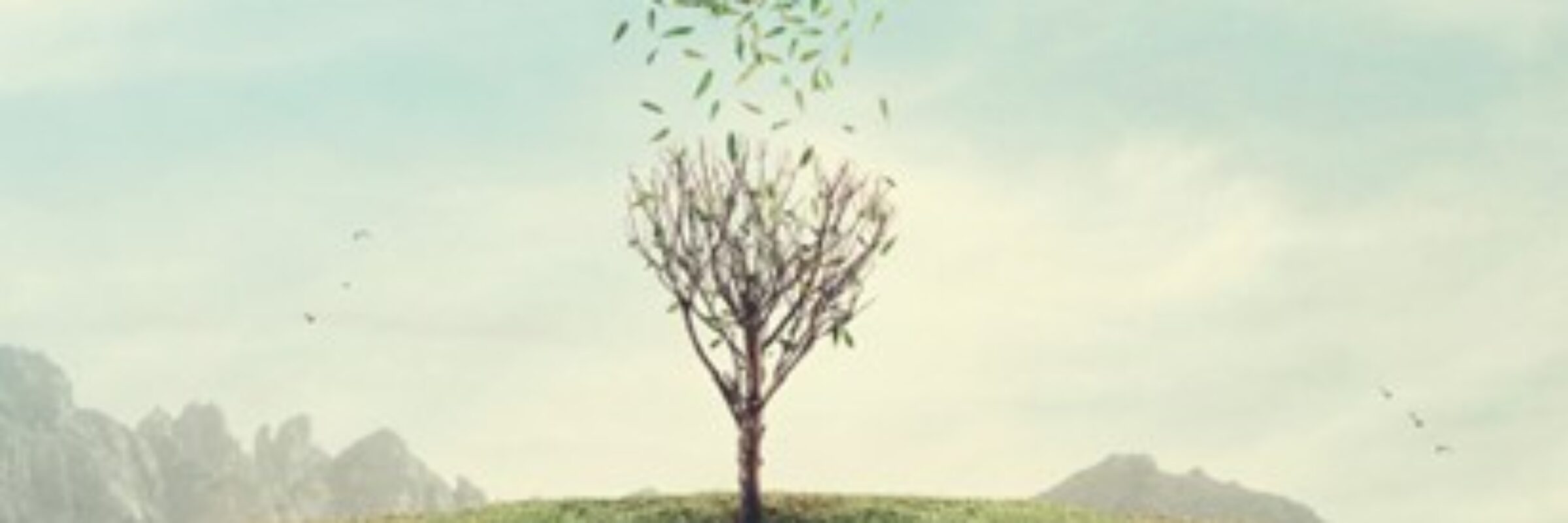 La thérapie hypnotique au fil des siècles – Mme Anita Violon